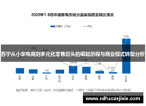 苏宁从小家电商到多元化零售巨头的崛起历程与商业模式转型分析